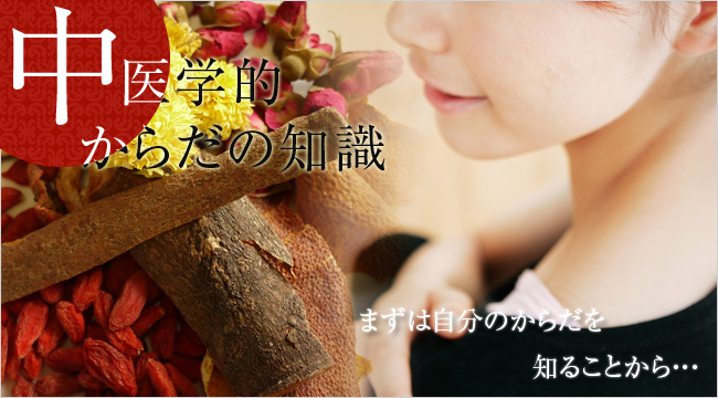 中医学的からだの知識