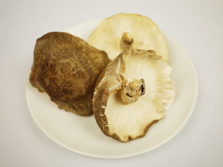 しいたけ 椎茸