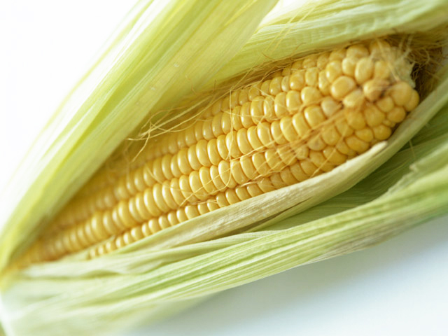 corn トウモロコシ